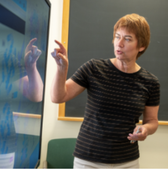 Dr. Maria Kurnikova